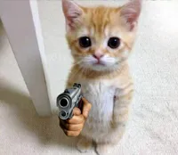 Standing Cat with Gun