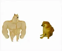 Strong dog vs. Weak dog