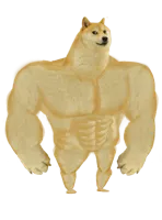 Swole Doge