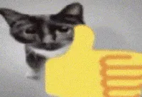 thumbs up cat