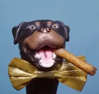 Triumph the Insult Comic Dog