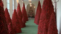 Trump Christmas Trees