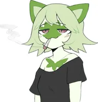 weed cat