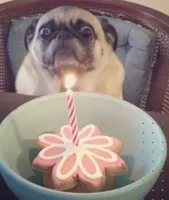 When it is your birthday and you are trying not to cry...