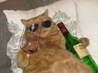 Wine Cat Birthday