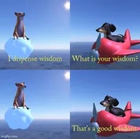 Wisdom dog