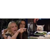 Women yelling at cat