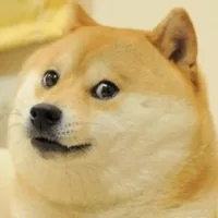 wow doge