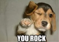 you rock